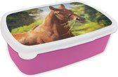 Broodtrommel Roze - Lunchbox Paard - Licht - Portret - Brooddoos 18x12x6 cm - Brood lunch box - Broodtrommels voor kinderen en volwassenen