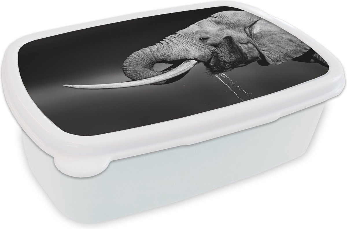Broodtrommel Wit - Lunchbox - Brooddoos - Olifant - Water - Zwart - Wit - 18x12x6 cm - Volwassenen