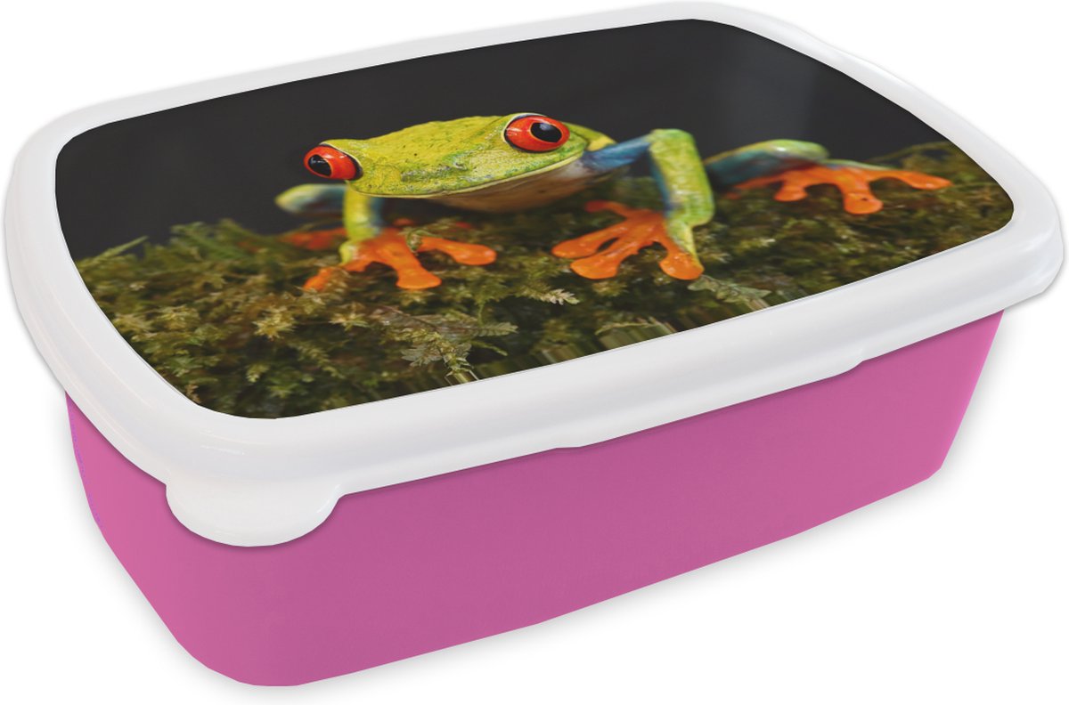 Broodtrommel Roze - Lunchbox - Brooddoos - Kikker - Ogen - Rood - Groen - 18x12x6 cm - Kinderen - Meisje