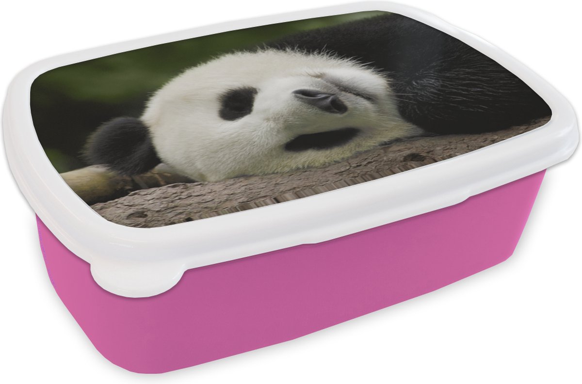Broodtrommel Roze - Lunchbox - Brooddoos - Panda - Beren - China - 18x12x6 cm - Kinderen - Meisje