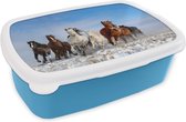 Broodtrommel Blauw - Lunchbox - Brooddoos - Galopperende paarden in het landschap van Mongolië - 18x12x6 cm - Kinderen - Jongen