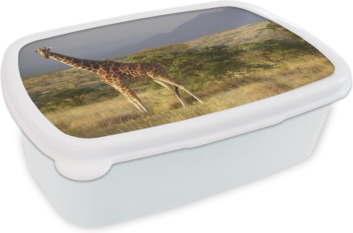 Broodtrommel Wit - Lunchbox - Brooddoos - Giraffe - Landschap - Afrika - 18x12x6 cm - Volwassenen