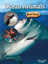 Biome Beasts- Ocean Animals