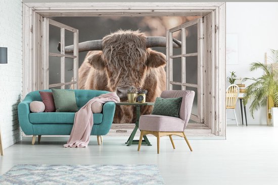 Papier peint - Papier peint photo peint Highlander écossais - Animal - Transparent - Largeur 525 cm x hauteur 350 cm