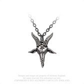 Alchemy Ketting Templars Bane Zilverkleurig