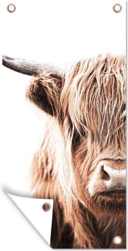 Lot De 4 Affiches Humour Vache Highland - Noir Et Blanc, Format 8x10 Pouces (non Encadré) | Décoration Murale Farmhouse, Salle De Bain, Bureau