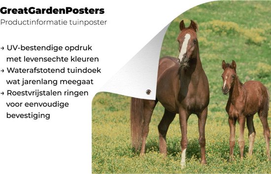 Décoration murale murale Paarden - Herbe - Marron - 180x120 cm - Affiche de jardin - Toile de jardin - Poster extérieur