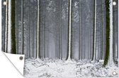 Tuinposter - Tuindoek - Tuinposters buiten - Bomen - Winter - Sneeuw - 120x80 cm - Tuin