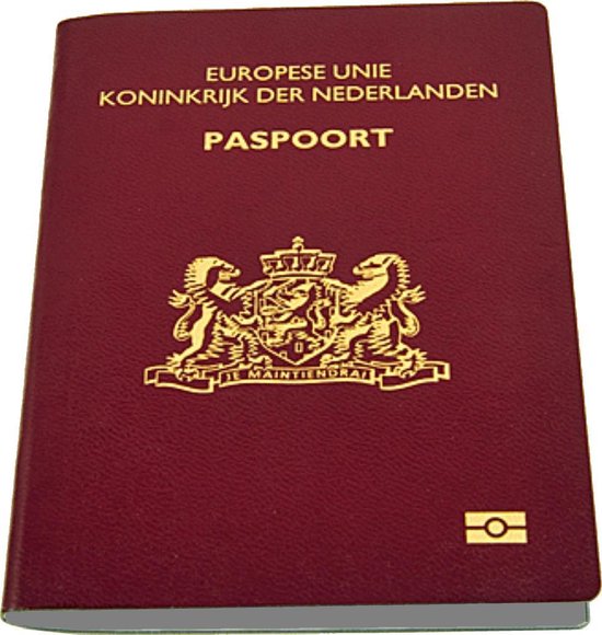 Merkloos Paspoort Protector - Beschermhoes - Paspoorthouder - Cover - Mapje  | bol.com