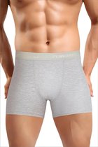 SPRUCE UP - Heren Boxer Short- Lycra - Maat S - Grijs - black friday - black friday 2022