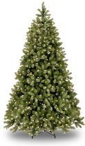 Kerstsfeerdirect - Kunstkerstboom Bayberry - LED - 215 cm