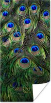 Poster Pauw - Veren - Ogen - Blauw - 80x160 cm