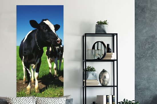 Affiche Vaches - Herbe - Animaux - 75x150 cm
