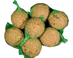 Hadivo Mezenbollen 15 stuks Emmer