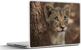 Laptop sticker - 14 inch - Leeuw - Boom - Wilde dieren - 32x5x23x5cm - Laptopstickers - Laptop skin - Cover