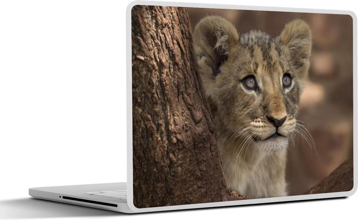 Laptop sticker - 12.3 inch - Leeuw - Boom - Wilde dieren - 30x22cm - Laptopstickers - Laptop skin - Cover