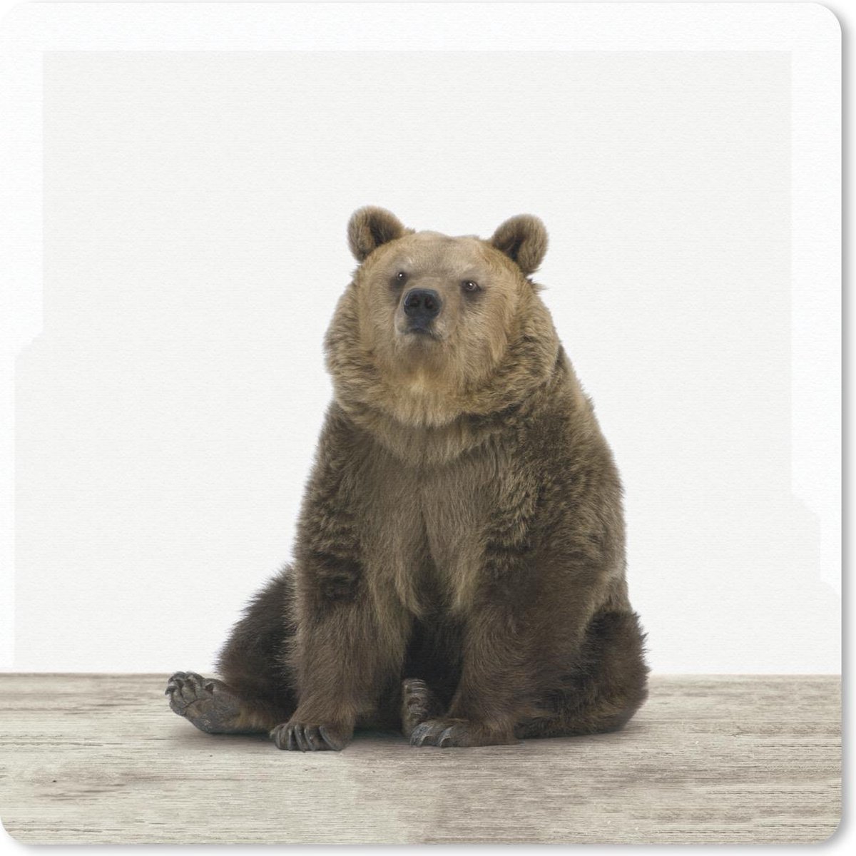 Muismat 30x30 cm - Mousepad Beer - Grizzly - Dieren - Muismatten