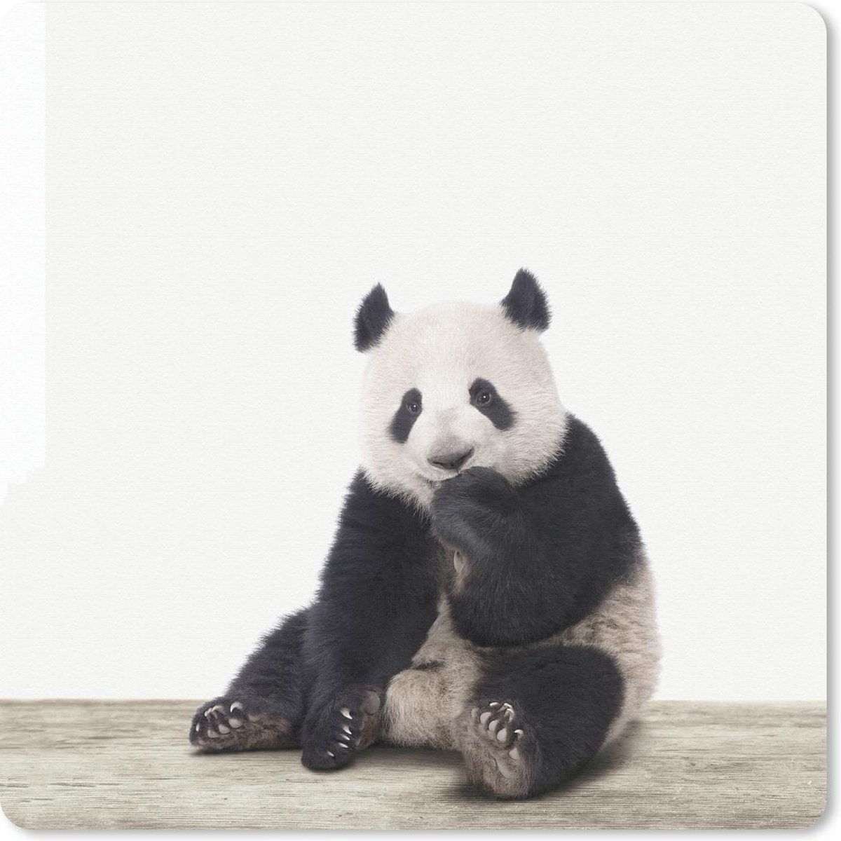 Muismat 20x20 cm - Mousepad Dieren - Panda - Zwart - Wit - Muismatten