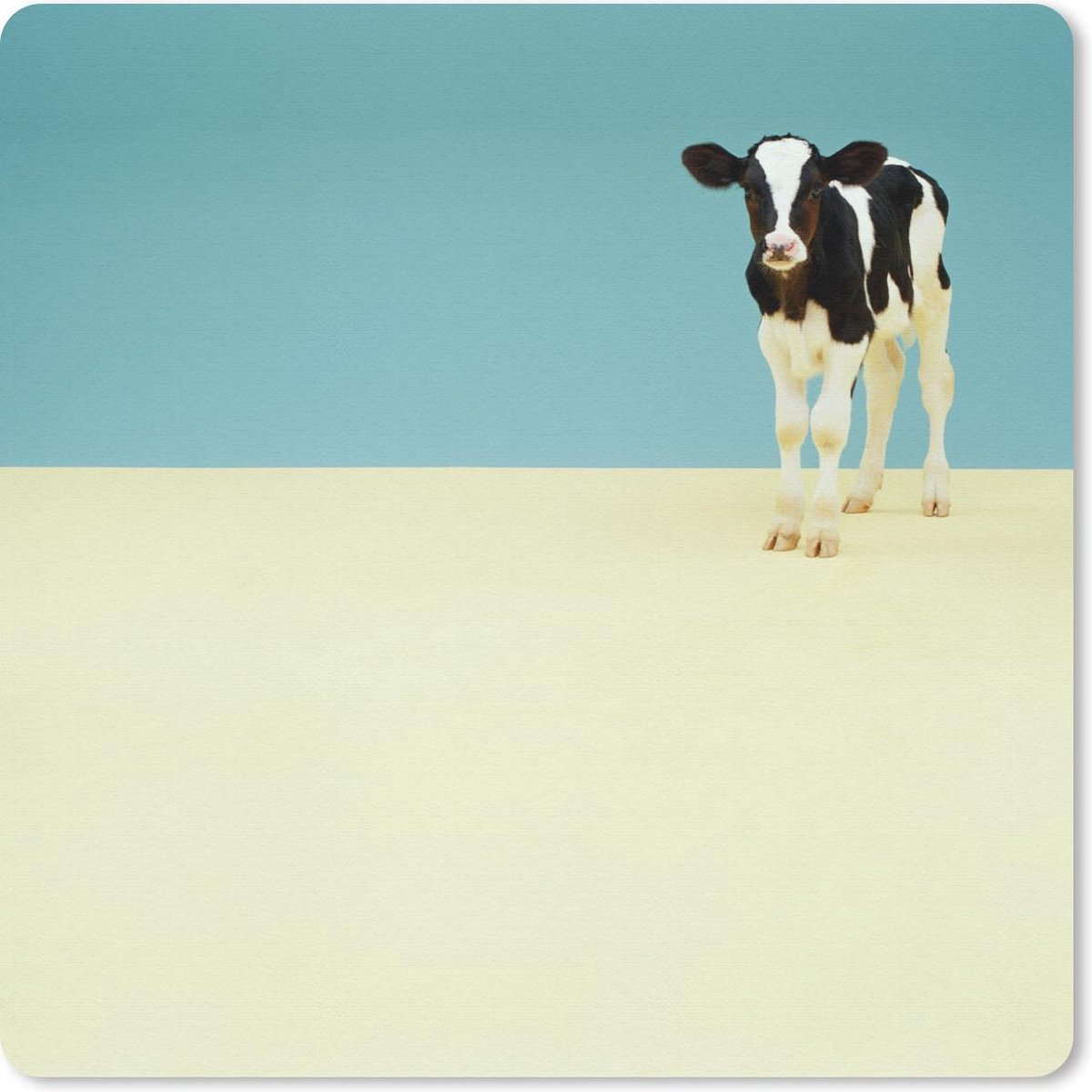 Muismat 30x30 cm - Mousepad Koe - Kalf - Friesland - Muismatten