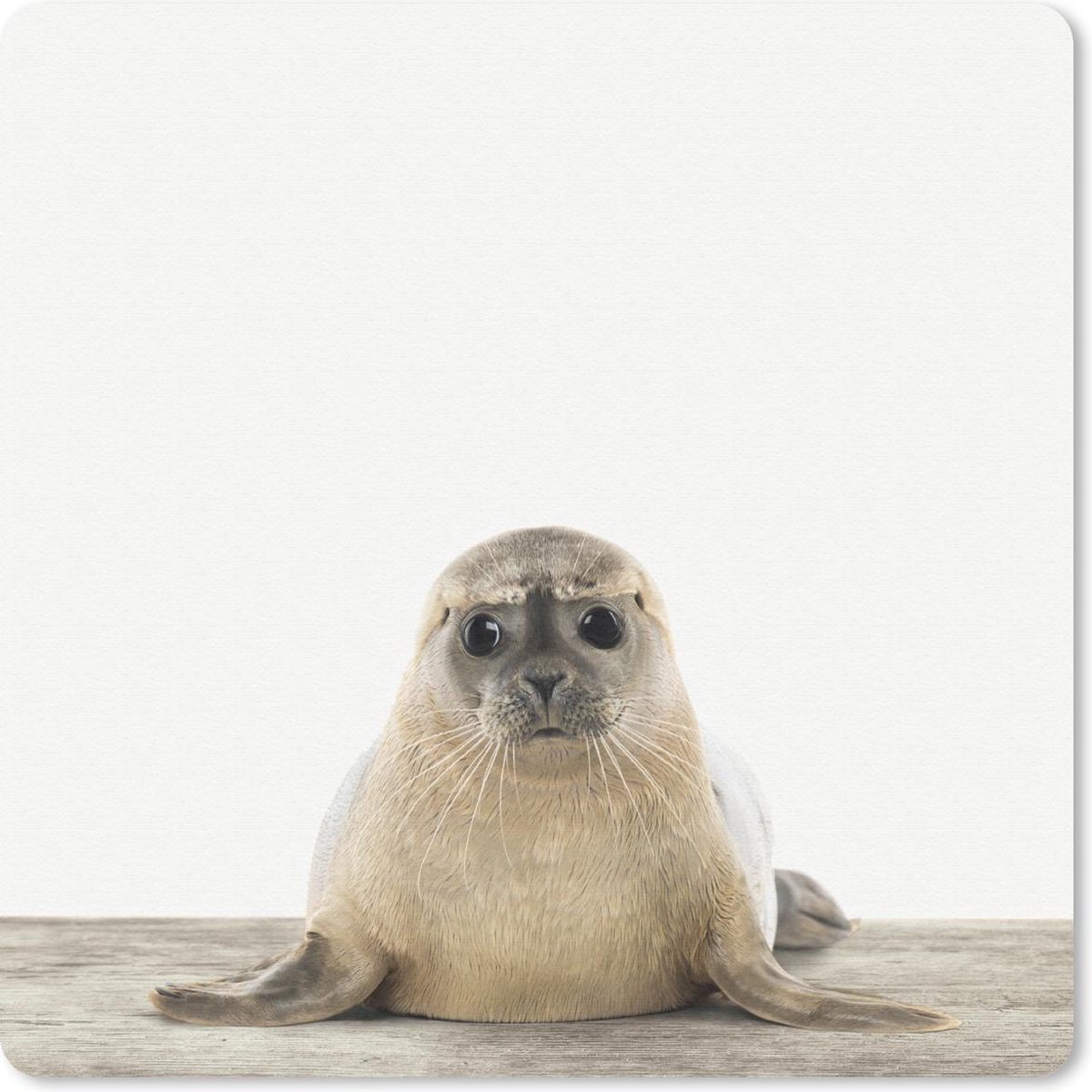 Muismat 30x30 cm - Mousepad Dieren - Zeehond - Wit - Muismatten