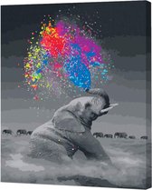 Peinture par nombre d' Adultes - éléphant coloré - étiré sur cadre - 40x50 cm