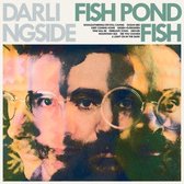 Darlingside - Fish Pond Fish (LP)