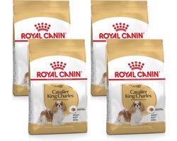 Royal Canin Cavalier King Charles Adult - Hondenvoer - 4 x 3 kg