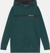 Petrol Industries Hoodie groen, maat 176