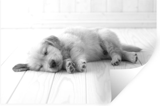 Muurstickers - Sticker Folie - Slapende puppy op een witte vloer - zwart wit - 120x80 cm - Plakfolie - Muurstickers Kinderkamer - Zelfklevend Behang - Zelfklevend behangpapier - Stickerfolie