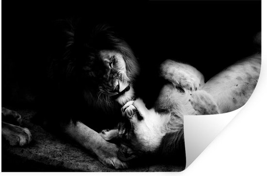 Muurstickers - Sticker Folie - Een leeuw en een leeuwin samen - zwart-wit - zwart wit - 60x40 cm - Plakfolie - Muurstickers Kinderkamer - Zelfklevend Behang - Zelfklevend behangpapier - Stickerfolie