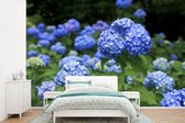 Behang - Fotobehang Blauwe hortensia bloemen - Breedte 450 cm x hoogte 300 cm