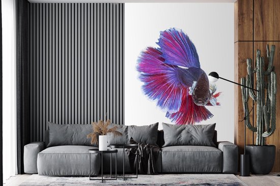 Papier Peint - Papiers Papier peint photo Poissons - Animaux aquatiques Marines - Staart - Largeur 170 cm x Hauteur 260 cm