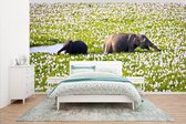 Behang - Fotobehang Olifanten wandelend door het waterveld met planten - Breedte 535 cm x hoogte 300 cm