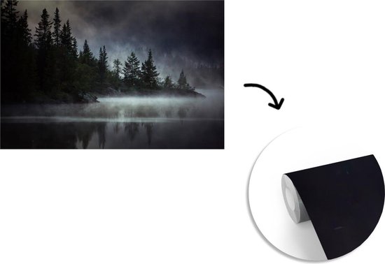 Papier fotobehang Photo Zwart et blanc d'une forêt brumeuse en Norvège