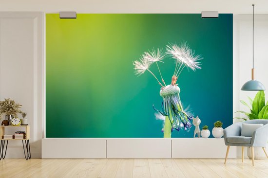 Papier peint photo peint photo vinyle - Pissenlit avec quelques graines largeur 525 cm x hauteur 350 cm - Tirage photo sur papier peint (disponible en 7 tailles)