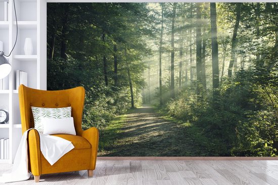 Behang - Fotobehang Bos - Licht - Pad - Breedte 390 cm x hoogte 260 cm - Nr1Wallpaper