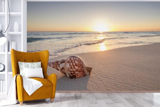 Papier fotobehang Coquillage sur la plage au coucher du soleil