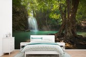 Papier peint vinyle - Arbre tropical au bord d'une cascade dans le parc national d'Erawan largeur 420 cm x hauteur 280 cm - Tirage photo sur papier peint (disponible en 7 tailles)