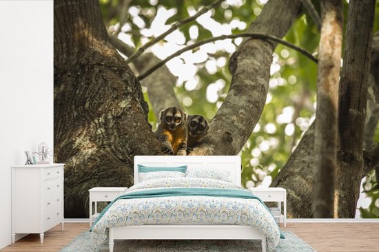 Papier peint photo peint photo vinyle - Petits animaux dans un arbre largeur 450 cm x hauteur 300 cm - Tirage photo sur papier peint (disponible en 7 tailles)