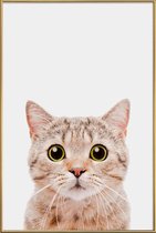 JUNIQE - Poster met kunststof lijst Kitten -20x30 /Bruin