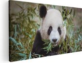 Artaza Canvas Schilderij Panda Eet Planten - 120x60 - Groot - Foto Op Canvas - Canvas Print