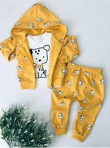 kledingsetje-baby-3-delig- baby outfit- met capuchon