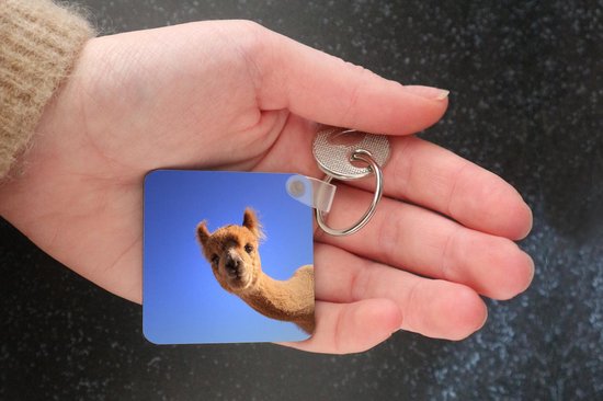 Porte-clés - Alpaga - Blauw - Ciel - Plastique