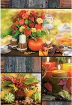 Een kleurrijke wenskaart met herfstafbeeldingen. Een dubbele wenskaart inclusief envelop en in folie verpakt. Te gebruiken voor diverse gelegenheden bijvoorbeeld verjaardagen, zoma