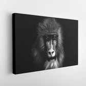 Canvas schilderij - Closeup portrait of a baboon with yellow eyes -     1250103763 - 80*60 Horizontal