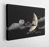 Canvas schilderij - Night sky with moon and clouds, background night sky. -     713362813 - 80*60 Horizontal