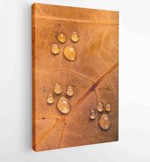 Canvas schilderij -  Productnummer 5516711 - 40-30 Vertical