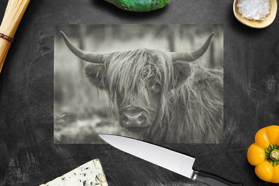 Planche à découper en Verres - 28x20 - Scottish Highlander - Vaches - Zwart - Wit - Planches à découper en Glas