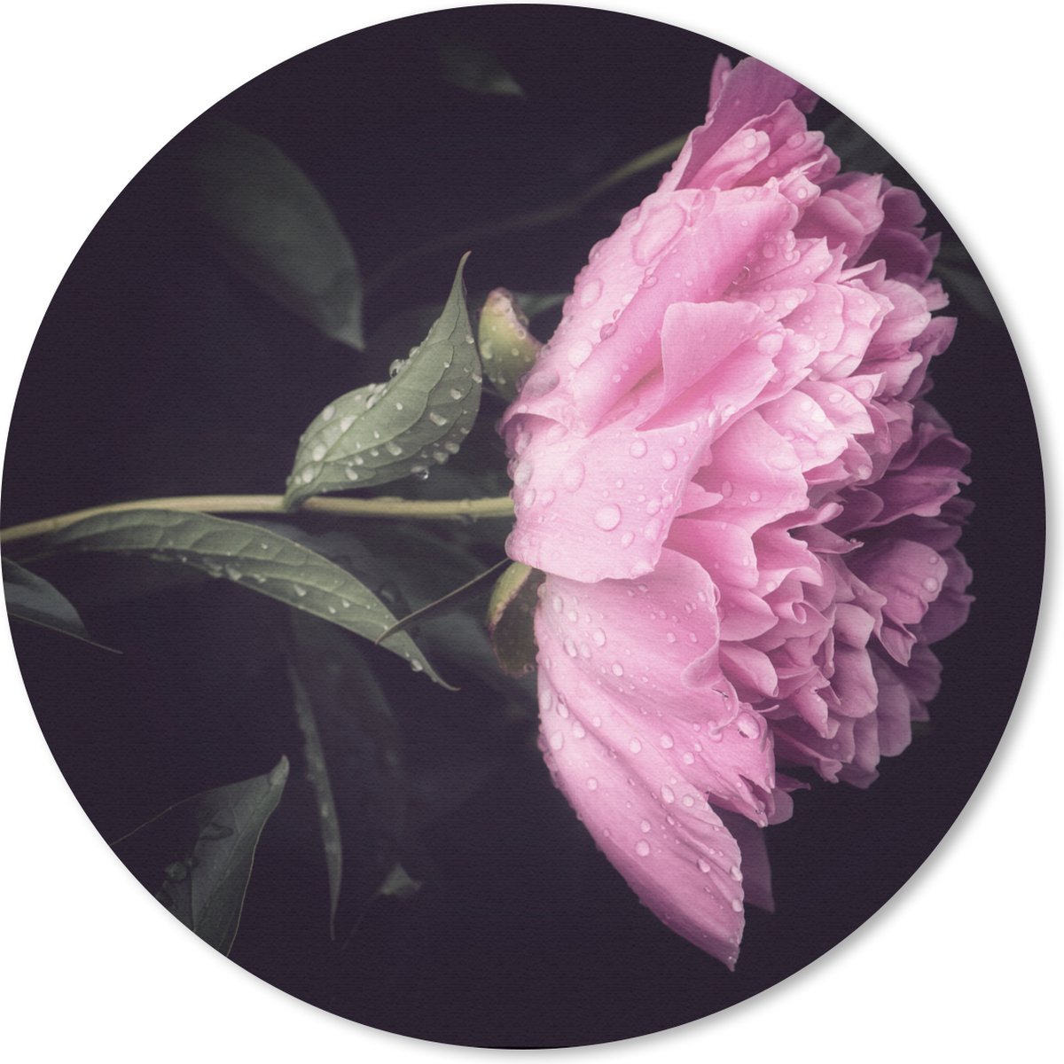 Muismat rond 30x30 cm - Mousepad Pioenroos met dauwdruppels - Ronde muismatten