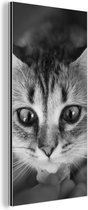 Wanddecoratie Metaal - Aluminium Schilderij Industrieel - Dierenprofiel ruikende kat in zwart-wit - 80x160 cm - Dibond - Foto op aluminium - Industriële muurdecoratie - Voor de woonkamer/slaapkamer